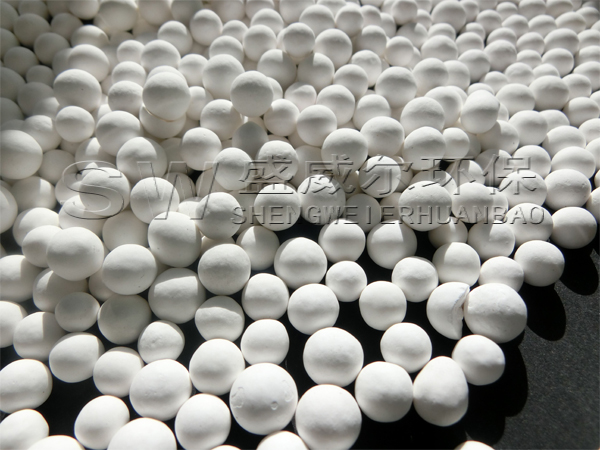  ���������X��������������|�̓����w�F